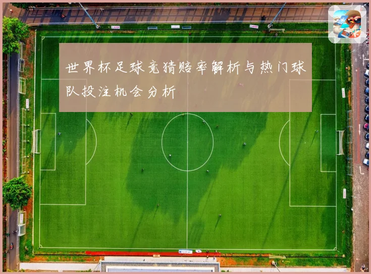 世界杯足球竞猜赔率解析与热门球队投注机会分析